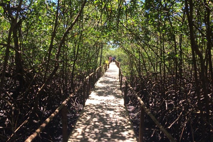 Full-Day Tour to Trancoso and Chocolate Factory from Porto Seguro