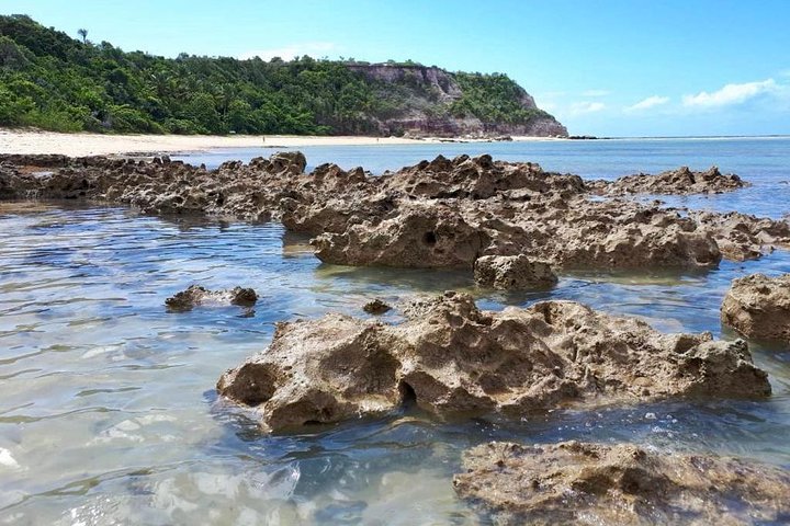 Full-day tour to Praia do Espelho from Porto Seguro