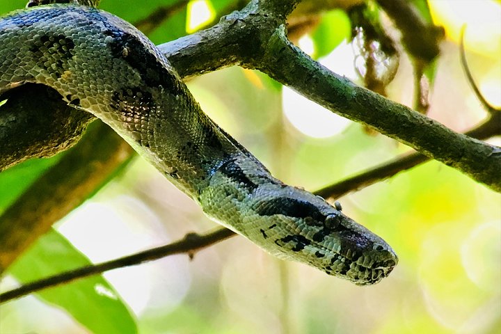 Manuel Antonio Park Tour and its Amazing Wildlife and Beaches