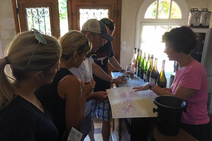 Vineyard cycle tours in and around Chinon, in the Loire Valley