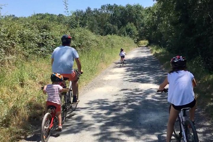 Vineyard cycle tours in and around Chinon, in the Loire Valley