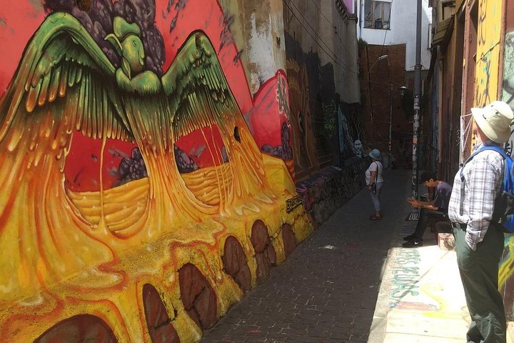 PRIVATE CITY TOUR: Valparaíso Concón&Viña del Mar From VALPARAISO