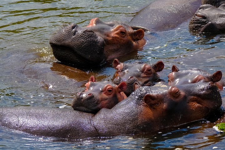 Kanzwa short holiday break -2 Nights Safari Kafue National Park