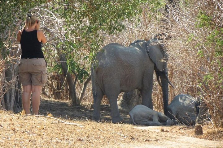 Kanzwa short holiday break -2 Nights Safari Kafue National Park