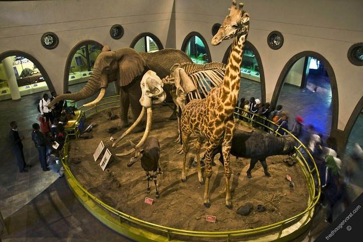 Half Day Giraffe Center,Baby Elephant&Karen Blixxen Guided Tour