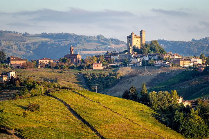 Private Tour: Barolo Wine Tasting in Langhe area from Torino