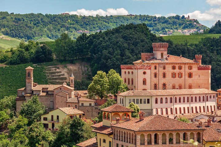Private Tour: Barolo Wine Tasting in Langhe area from Torino