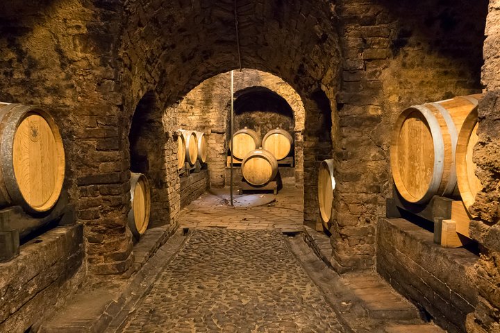 Private Tour: Barolo Wine Tasting in Langhe area from Torino
