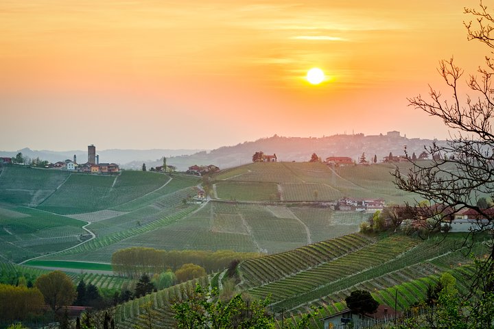 Private Tour: Barolo Wine Tasting in Langhe area from Torino