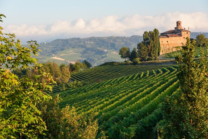 Private Tour: Barolo Wine Tasting in Langhe area from Torino