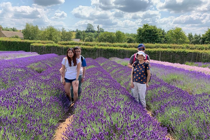 Cotswolds Private Day Tour