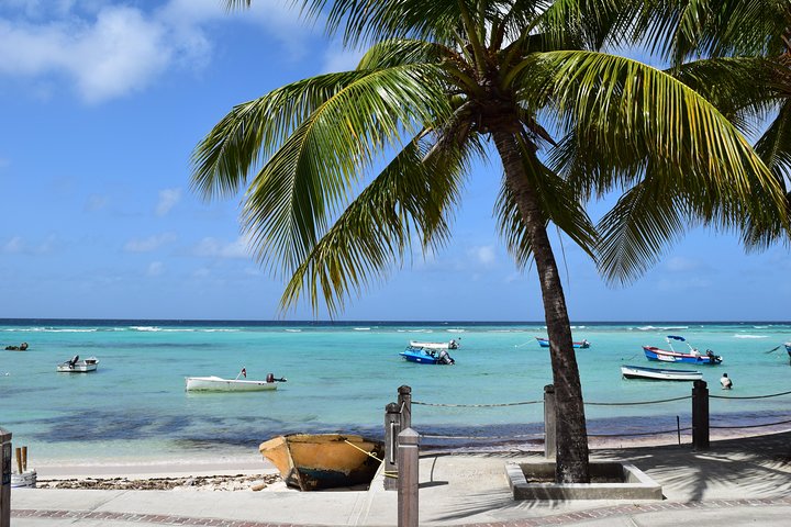 Private Full-Day Barbados Excursion