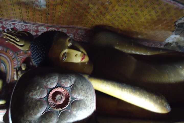 Private Day Trip to Sigiriya & Dambulla from Kandy – Aaliya Tours