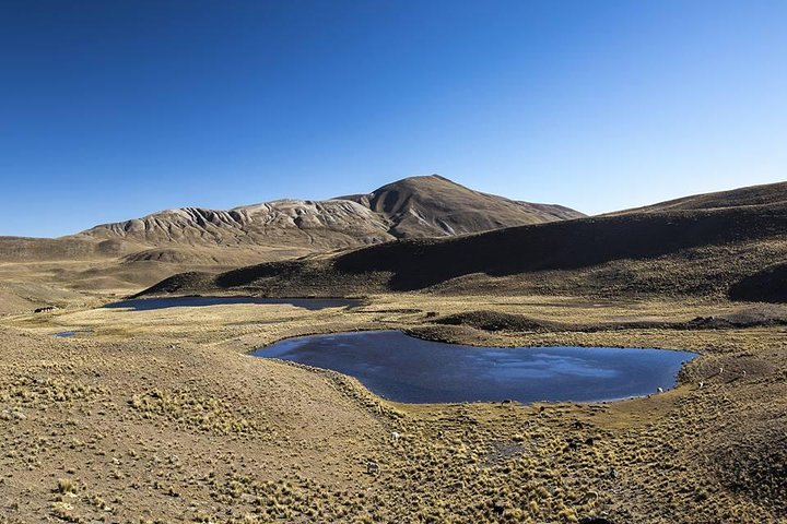 CONDORIRI Mountain 5650m. 2 DAYS 1 NIGHT. TREKKING. English guide. Shared Tour