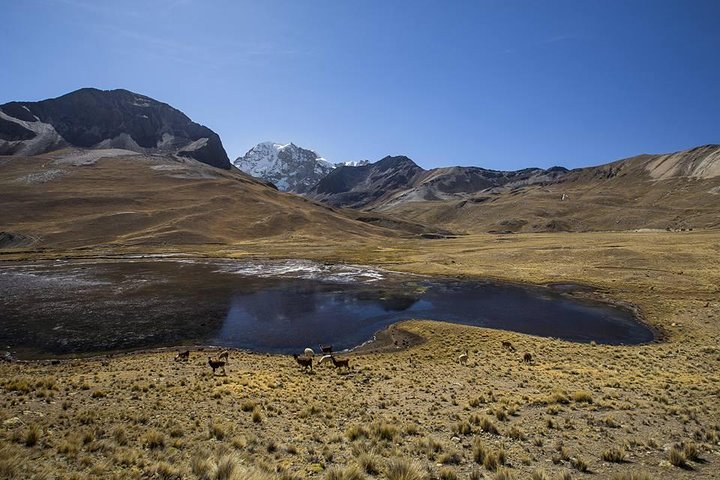 CONDORIRI Mountain 5650m. 2 DAYS 1 NIGHT. TREKKING. English guide. Shared Tour