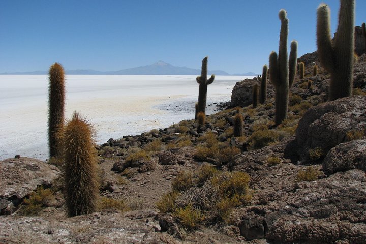 Uyuni Salt flat 2 day+sunset at Salt Water Region + Mirror effect