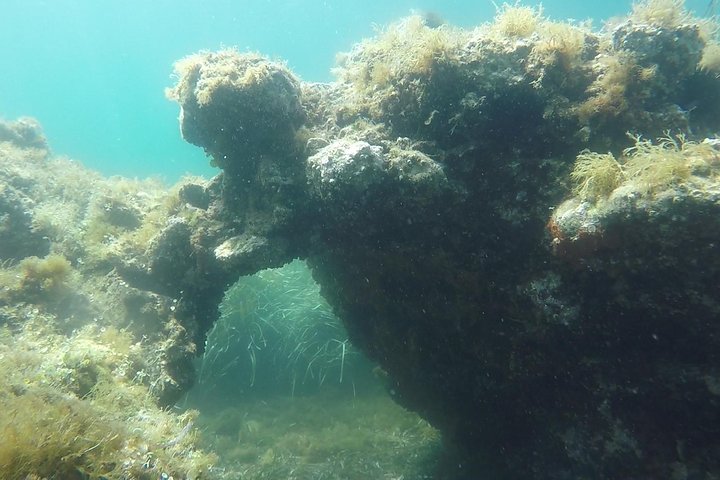 Snorkeling among the Underwater Caves of Ischia Ponte