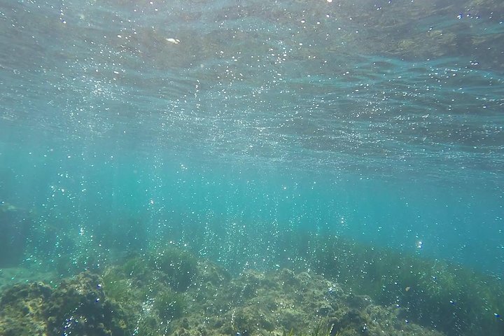 Snorkeling among the Underwater Caves of Ischia Ponte