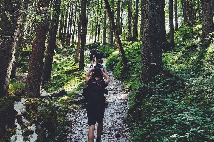 Private Guided Hiking Tour - Sequoia National Park