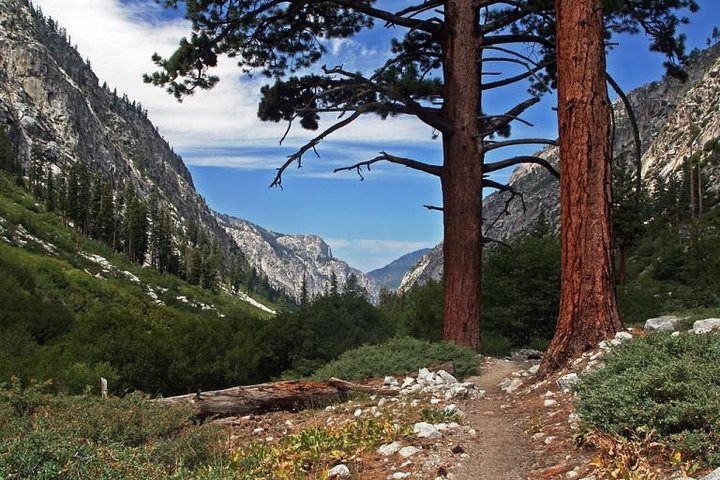 Private Guided Hiking Tour - Sequoia National Park