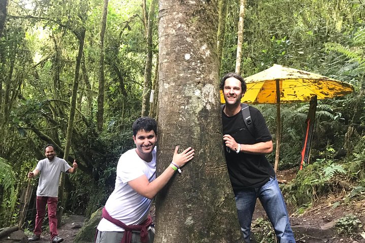 Colombia’s Tallest Waterfalls: La Chorrera Hike