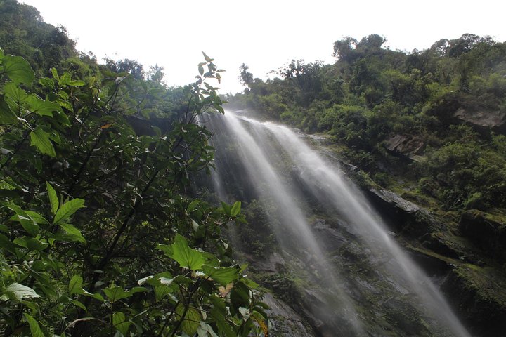 Colombia’s Tallest Waterfalls: La Chorrera Hike