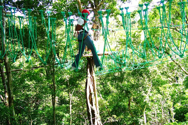 Puntarenas & Caldera Shore Excursion: High Ropes & 4 Ziplines