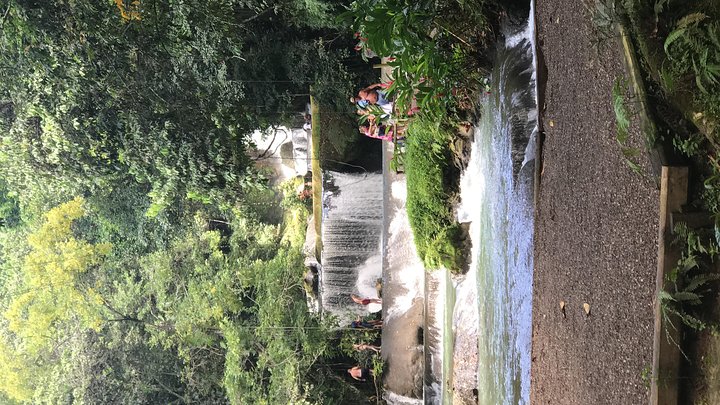 YS Falls Private Full-Day Adventure Tour with Pickup
