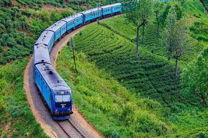 Nuwaraeliya (Nanuoya) - Ella Train Tickets