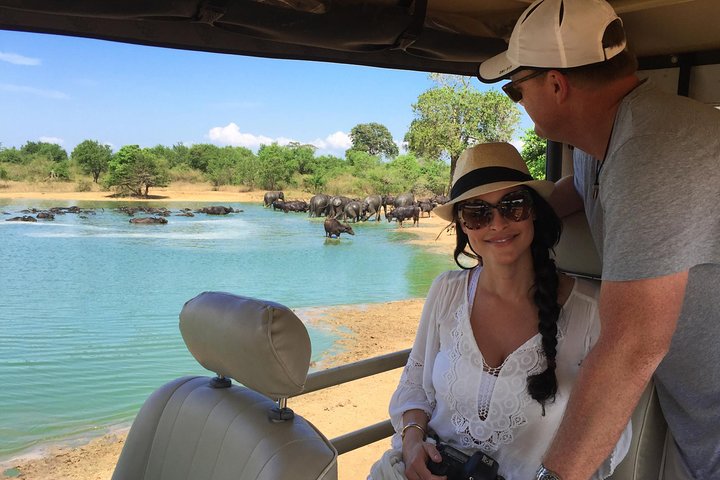 Yala Safari Private Day Trip with Return Transport -All Inclusive