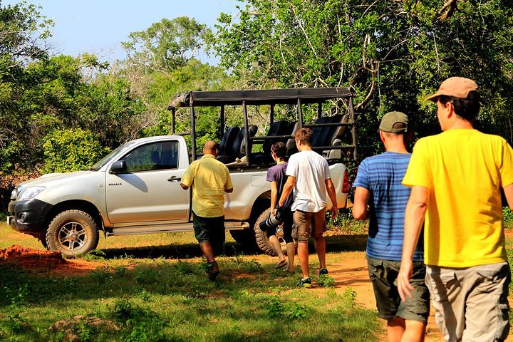 Leopard Safari Tour in Yala National Park