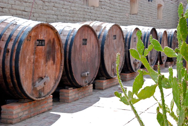 Unveiling Cafayate: Premium Wine Road Adventure
