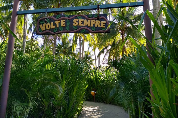 Carneiros Beach Tour
