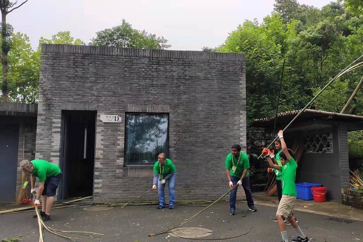 Private Dujiangyan Panda Base Panda Rescue Center Volunteer for a Day