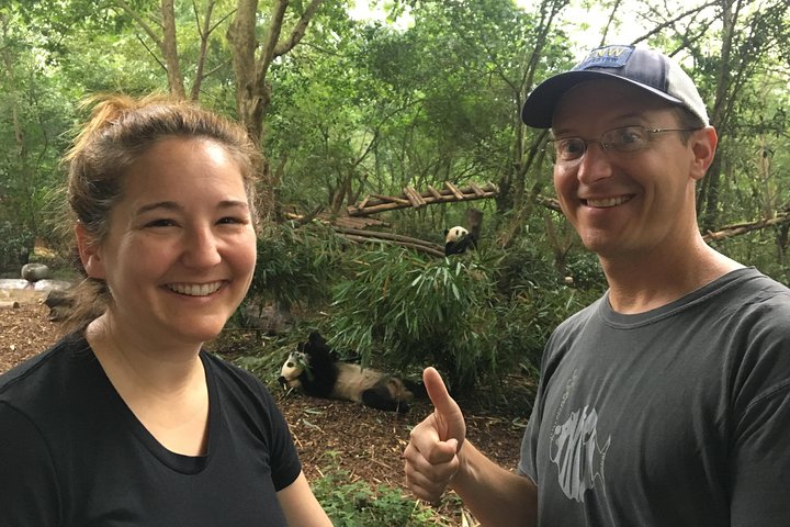 Private Half-Day Chengdu Panda Breeding Center Tour with Optional Volunteer