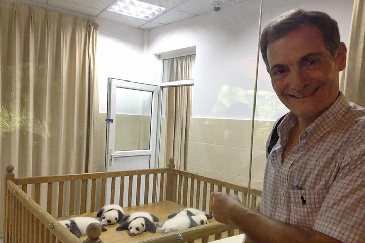 Chengdu Private Sightseeing Tour with Panda Breeding Center Visit