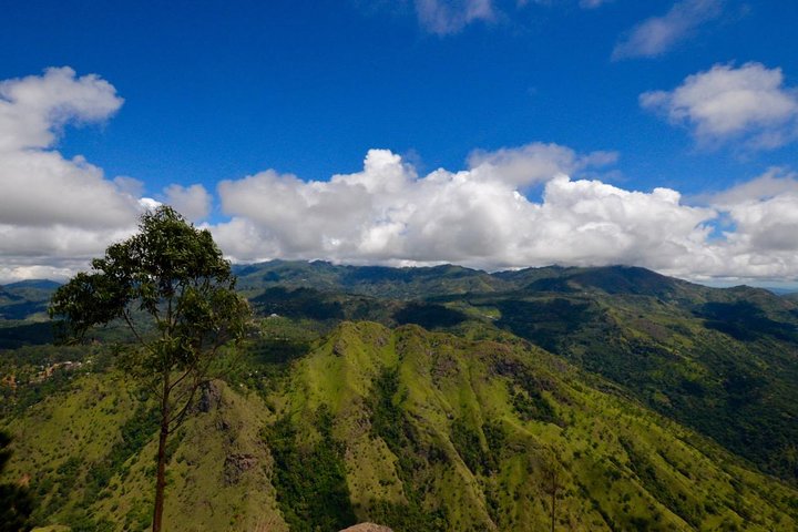 Ella Rock Hiking Tours ( sunrise-tour ,good morning tour,sunny afternoon tour )
