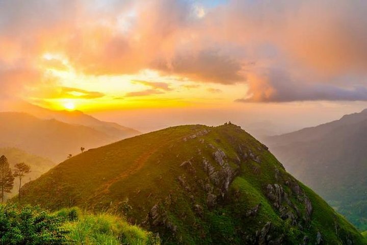 Ella Rock Hiking Tours ( sunrise-tour ,good morning tour,sunny afternoon tour )