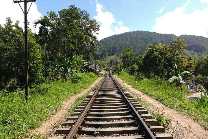 Ella Rock Hiking Tours ( sunrise-tour ,good morning tour,sunny afternoon tour )