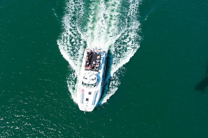 Newcastle Whale Watching Cruise