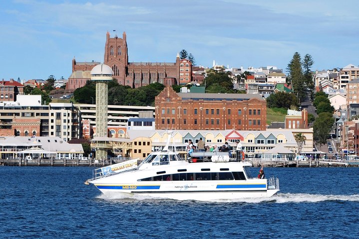 Newcastle Whale Watching Cruise