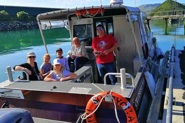 Dunedin Wildlife Cruise-Albatross, seals and harbour