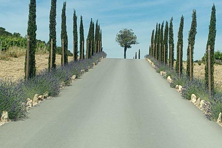 5-Hour Private Sightseeing Tour of the Provence from Marseille in Luxury Car