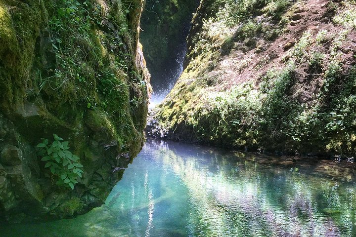 Multnomah Falls and Columbia River Gorge Half-Day Hiking Tour