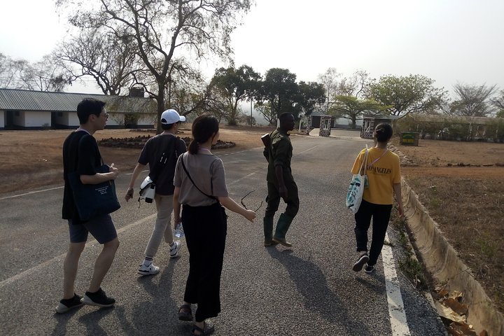 5 Days Adventurous Wildlife Safari