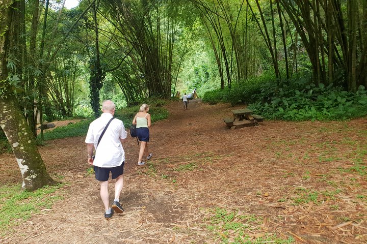 The Cascading Dark View Falls and Beach Experience with Topdawg Taxi and Tours