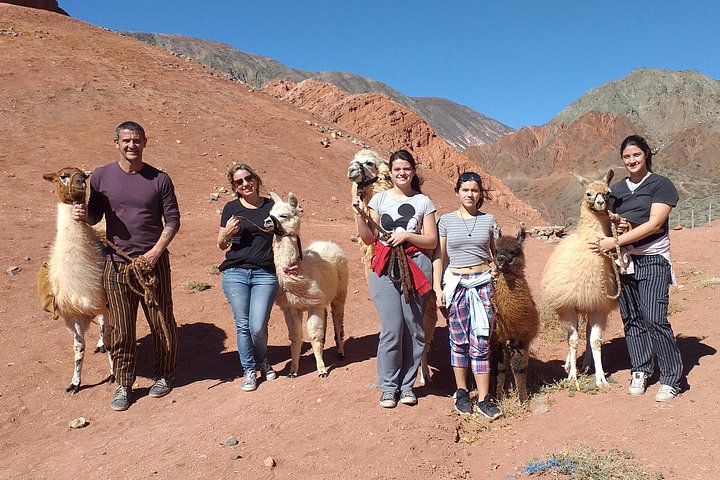 Purmamarca Walk with Llamas