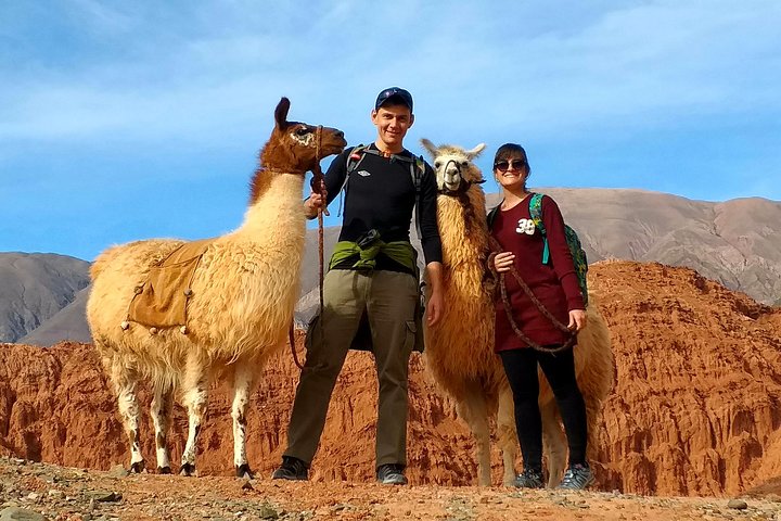 Purmamarca Walk with Llamas