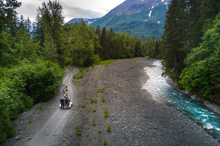 Wilderness Dog Sled Ride and Tour in Seward