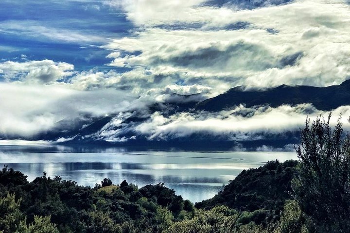 Mou Waho Island Cruise and Guided Nature Walk